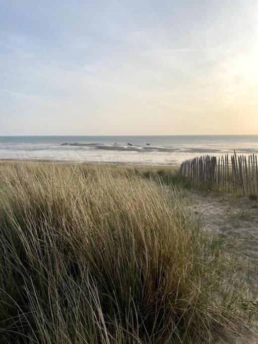 Chez Fanfan A 150M De La Mer Villa Hauteville-sur-Mer Eksteriør bilde